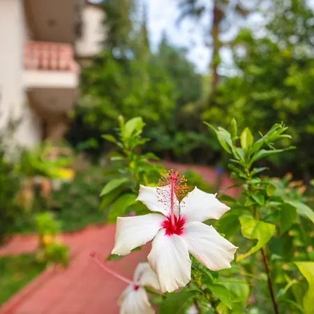 Turquoise 4* オルデニズ