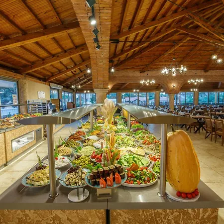 Turquoise オルデニズ