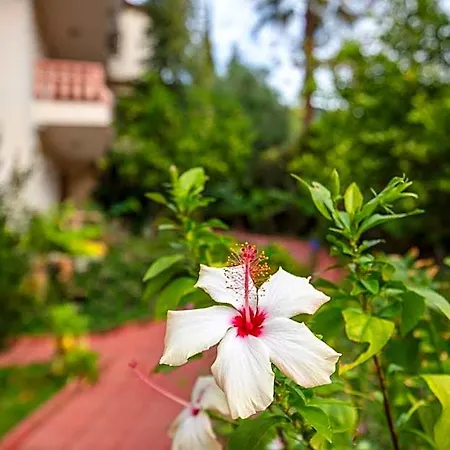 Hotel Turquoise Ölüdeniz