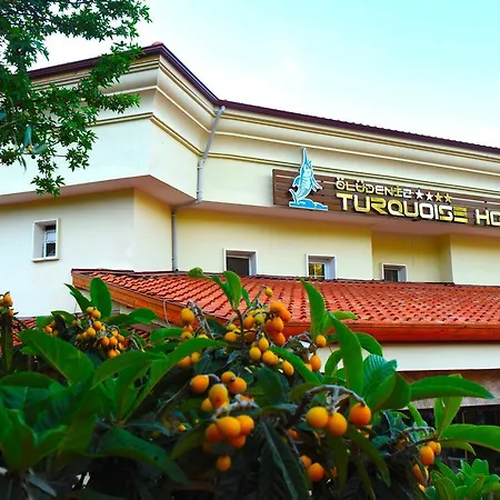 Turquoise オルデニズ