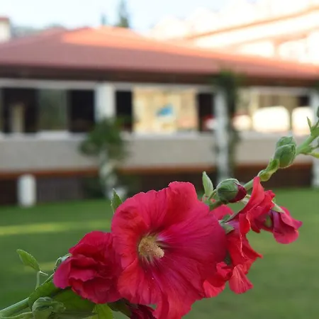 Turquoise Ölüdeniz